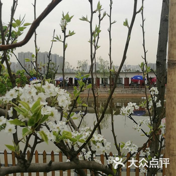宝狮湖