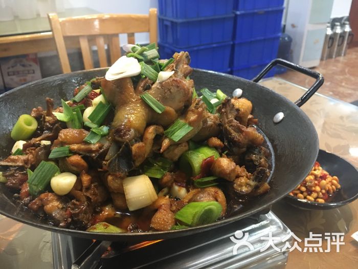 杜家鸡图片 第5张