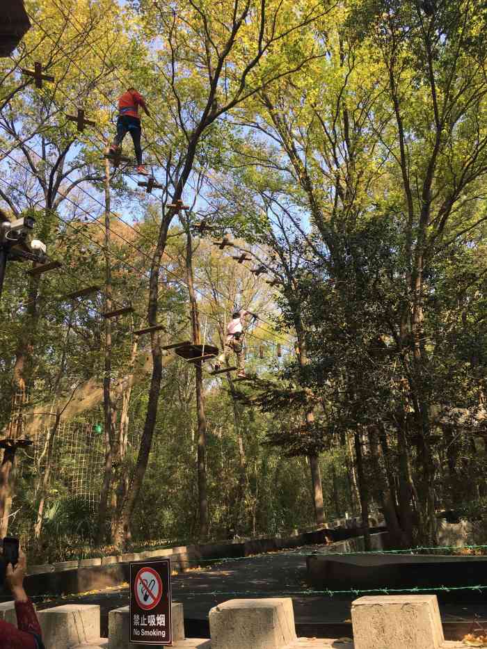 紫金山探险公园-"我带了三个小朋友来紫金山探险公玩,小姑娘.