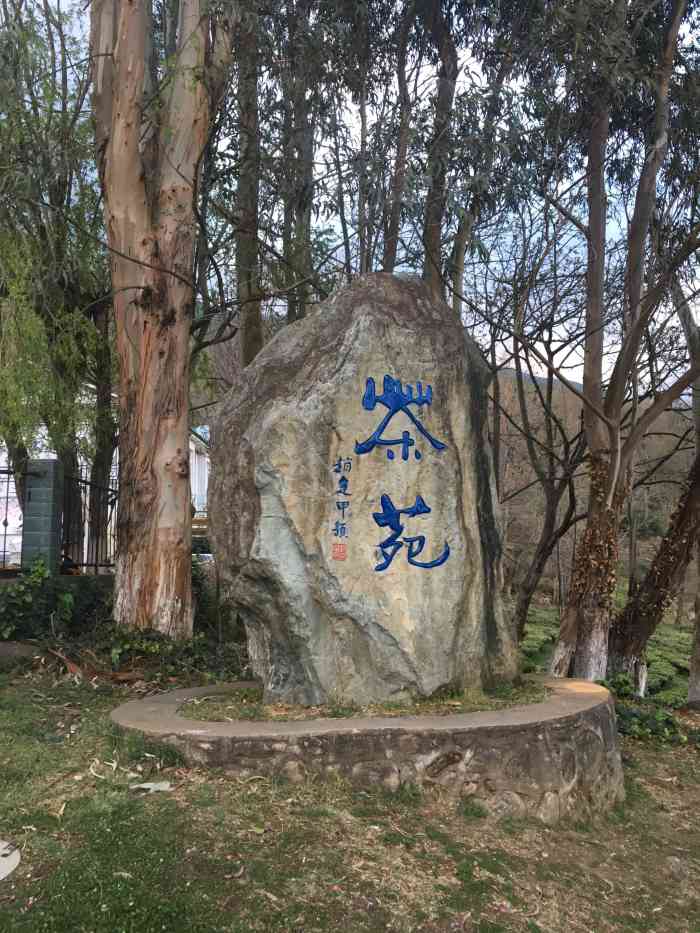 大理大学茶苑-"冲着苍山脚下远眺洱海的这份风景,也一