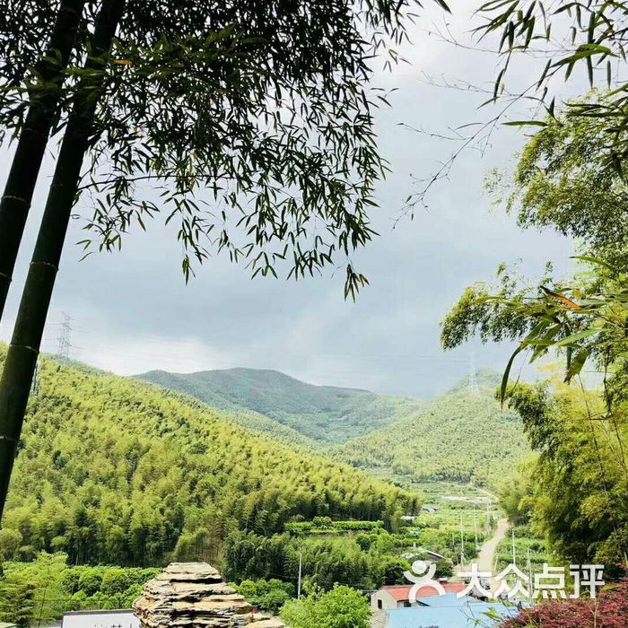 宁波浙东大竹海景区