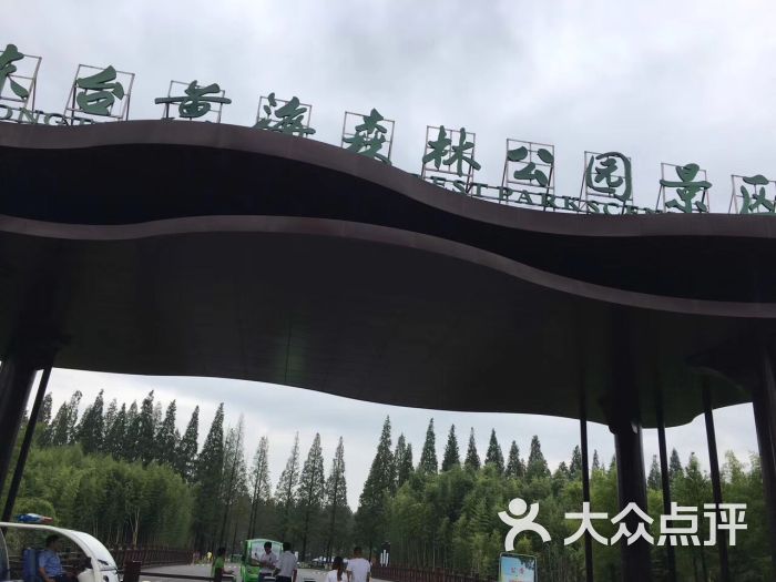 东台黄海森林公园