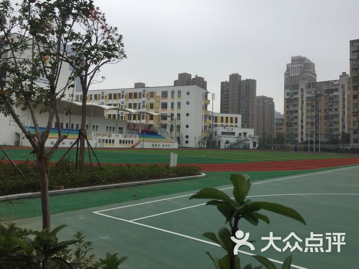 鄞州区华泰小学图片 - 第4张