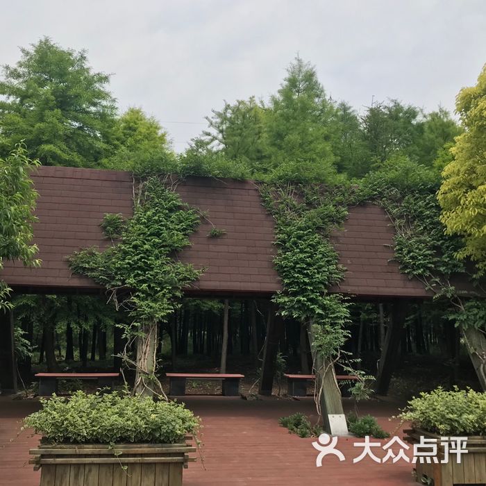 康桥生态园沔西绿地