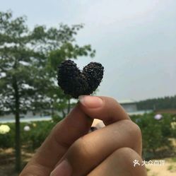 0pjHrNcfmGTyi4nPMFXjiLT9hH_QRZCxklydoeZ2htHAxzdekhTcSA766YY2lur4uzFvxlbkWx5uwqY2qcjixFEuLYk00OmSS1IdNpm8K8twhW7bzr4O88Ivp4FuDG0SfCF2ubeXzk49OsGrXt_KYDCngOyCwZK-s3fqawWswzk.jpg