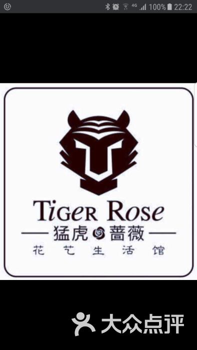 tiger rose猛虎蔷薇花店图片 - 第3张