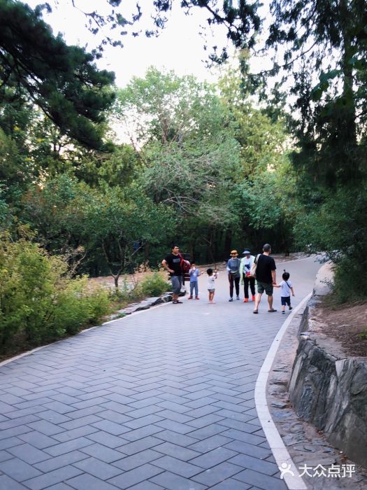 香山公园图片