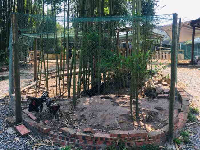 遇见天河生态农庄-"其实很奇怪这个地方在大众点评不.