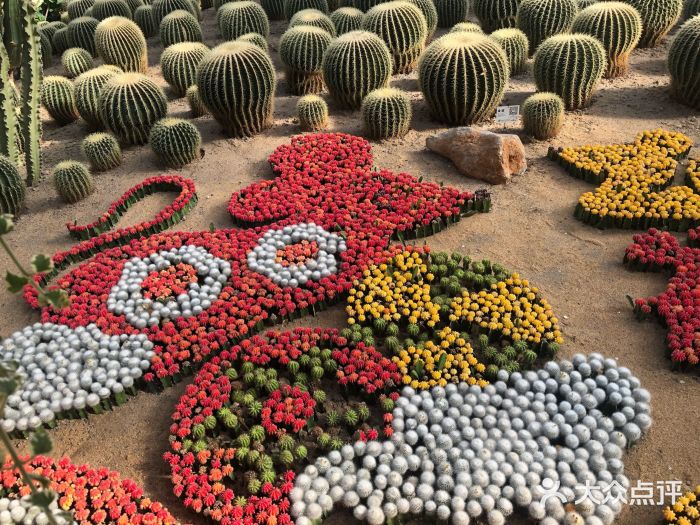 北京世界花卉大观园图片