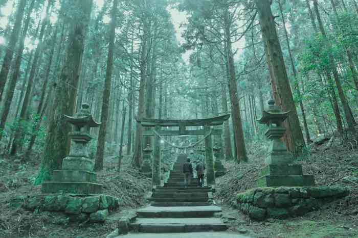 上色见熊野座神社-"因为是日本《荧火之森》的动漫实