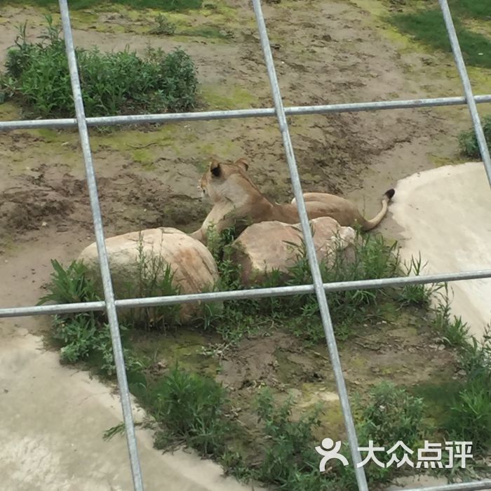 大丰港动物园图片 - 第17张