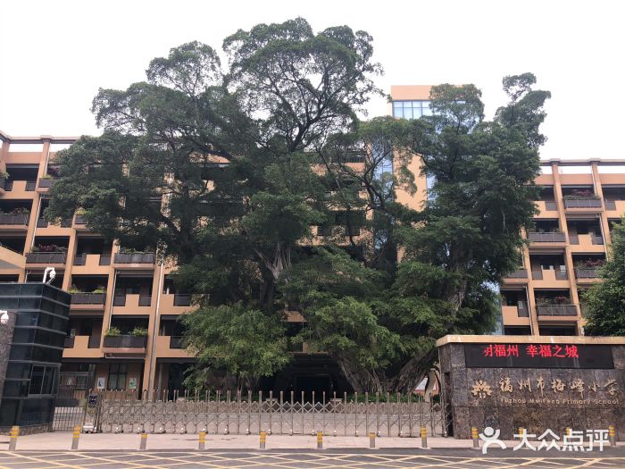 福州市梅峰小学图片