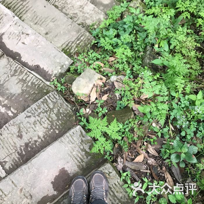 乱窜坡