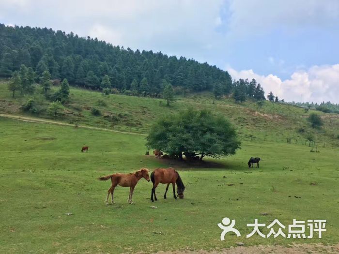 仙女山-图片-彭山区周边游-大众点评网