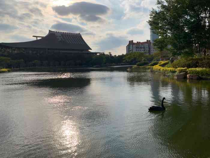 厦大芙蓉湖-"厦门大学芙蓉湖位于厦门大学思明校区.从南.