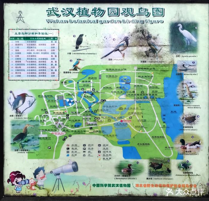 武汉植物园图片 - 第744张