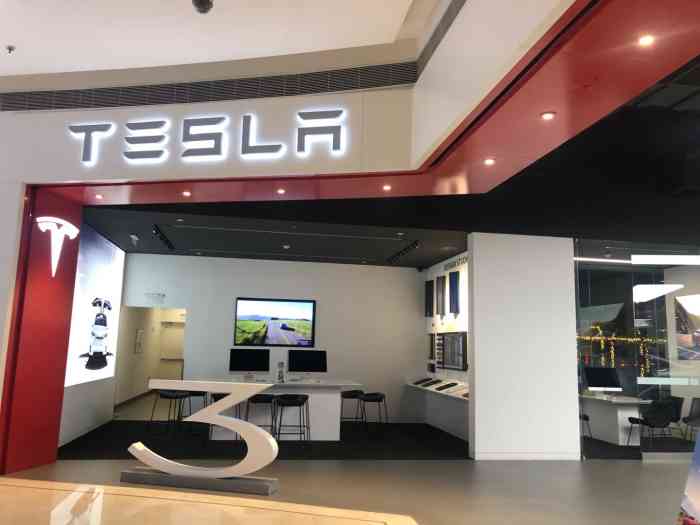 tesla 特斯拉(温州财富体验店)