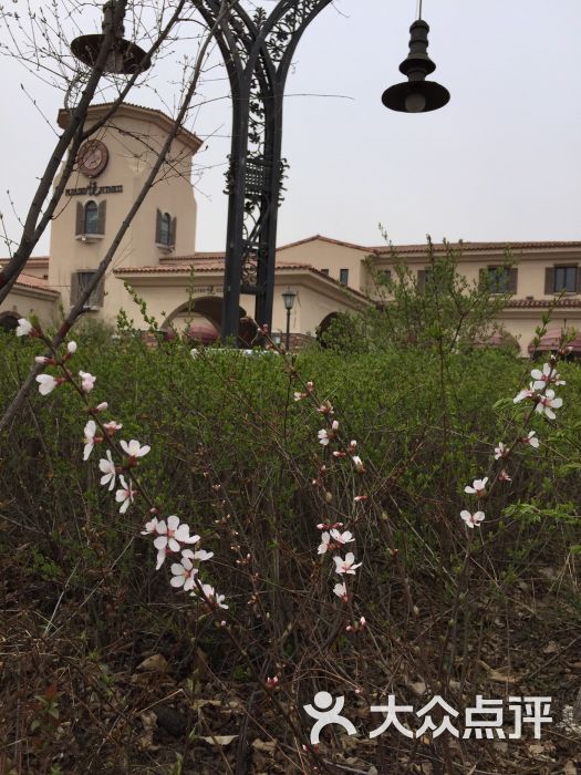 悦会所-图片-长春运动健身-大众点评网