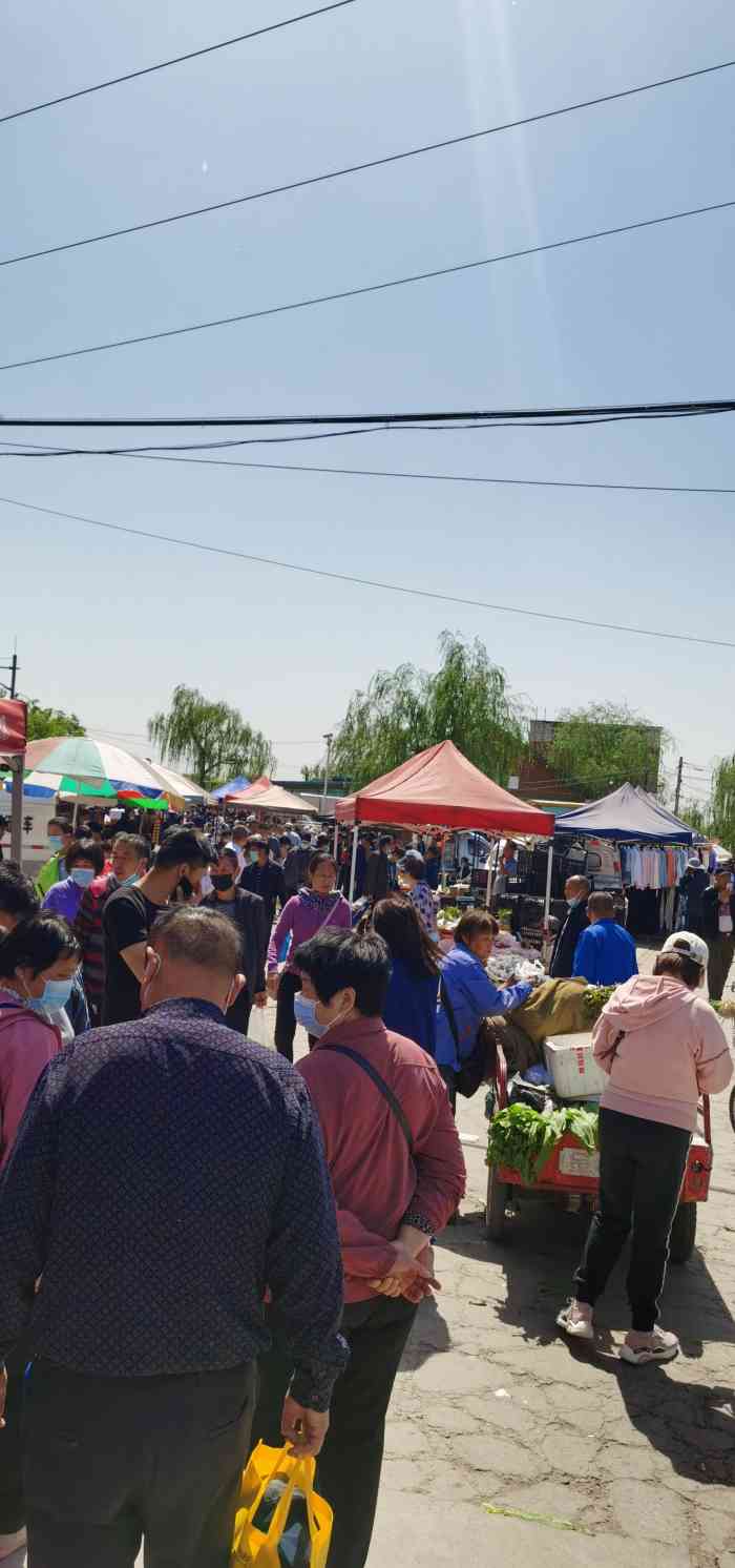 沙河周日市场-"看到点评里的小伙伴说沙河大集又开了