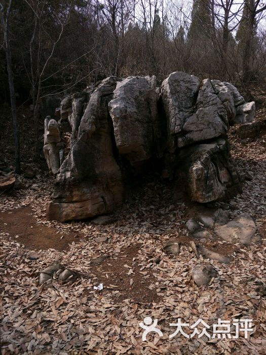 蓟县 景点 自然风光 毛家峪长寿度假村元古奇石林 所有点评