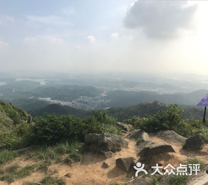 短裤短袖,一个人.出发:羊台山登山广场,人非常多,车不好停的.