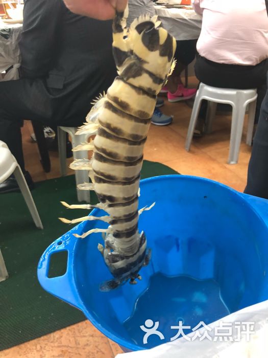 明记饭店:不会再去,结账有猫腻,支付宝结.香港美