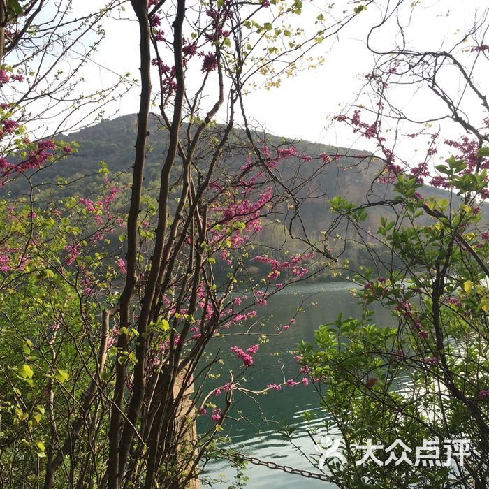 阳山桃花源