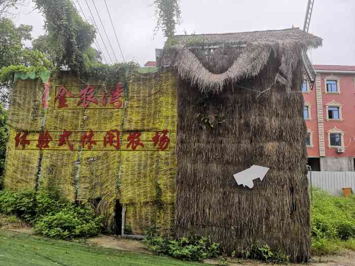 金农湾四季庄园-"生日野餐 小朋友生日选择来农场野餐