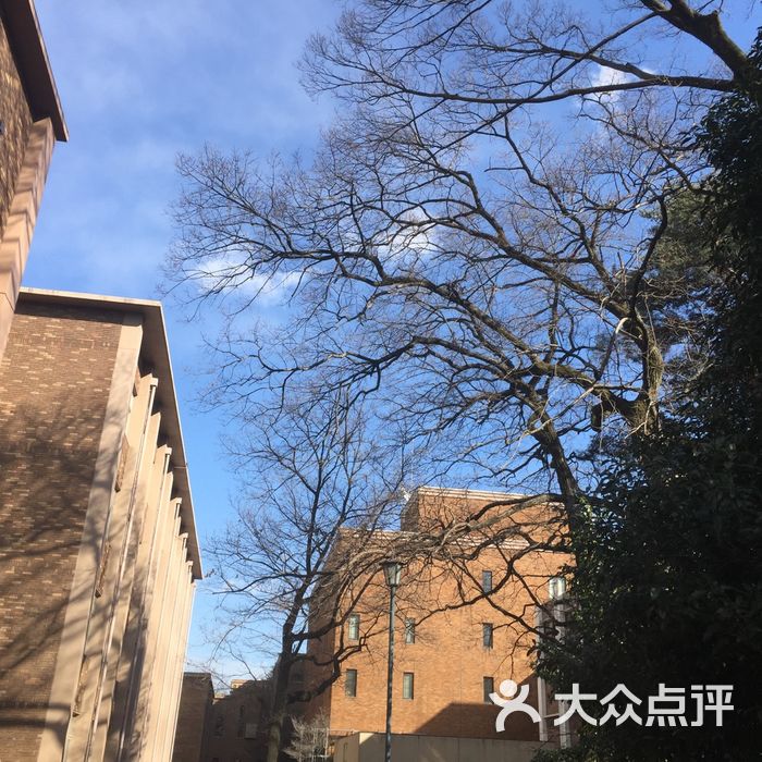 一桥大学