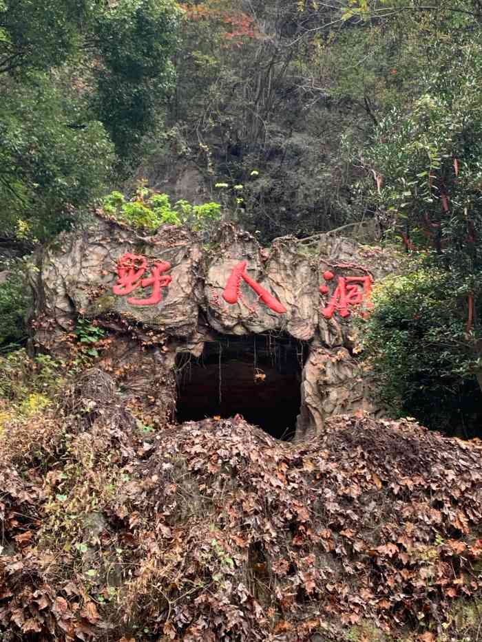 野人洞风景区"进人景区附近看到很普通,我们去的时候下着.