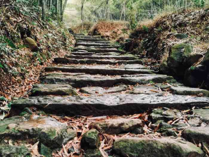 日铸岭-"日铸岭古道非常适合户外锻炼,自驾来这里道."-大众点评移动版