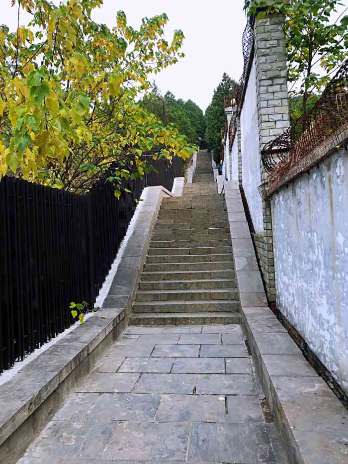 小龟山山体公园