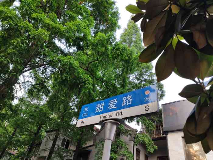 虹口区有一条叫做甜爱路的街道,被誉为上海最浪漫的一条道路,小清新