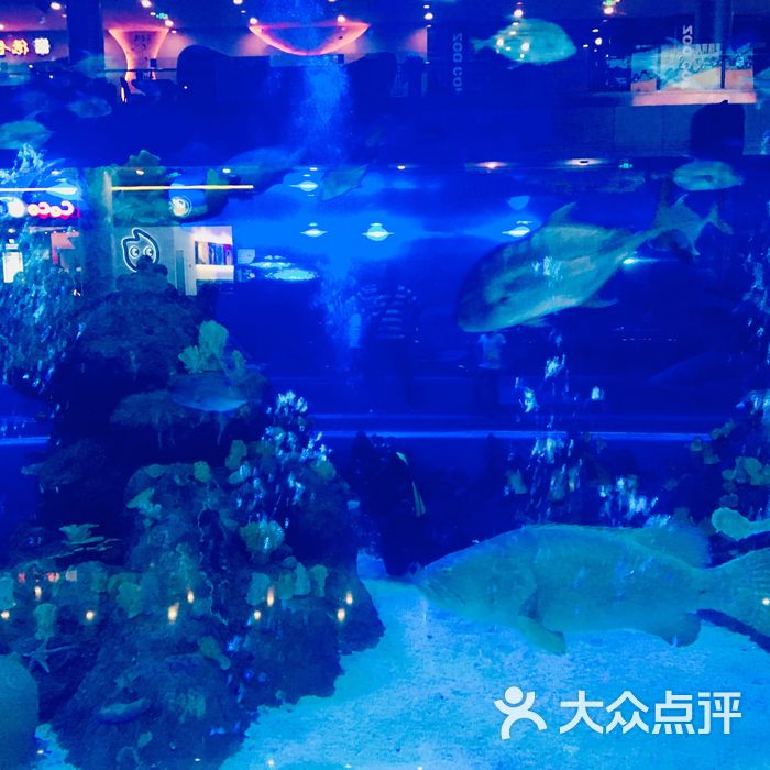 海滨城浩海立方海洋馆