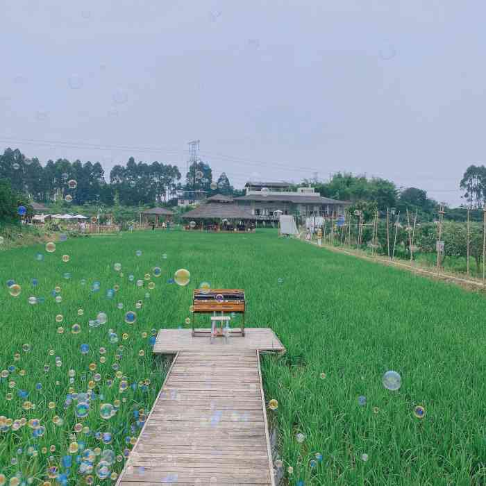 小草垛田野农场-"据说是个网红的景点,朋友圈看到有人