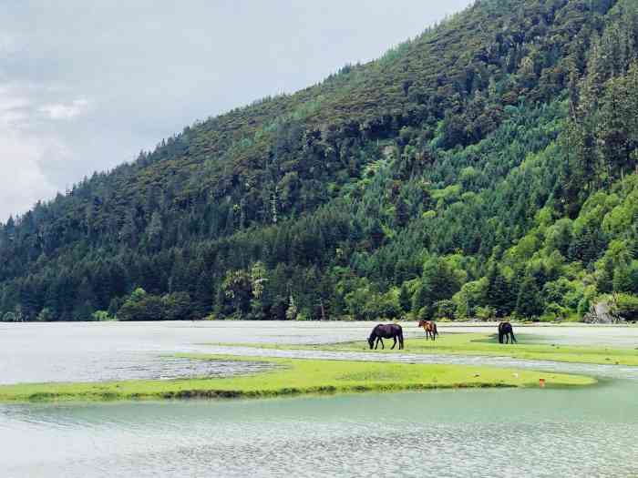 莲花湖景区-"莲花湖位于甘孜州昌德,导航昌德就可以到