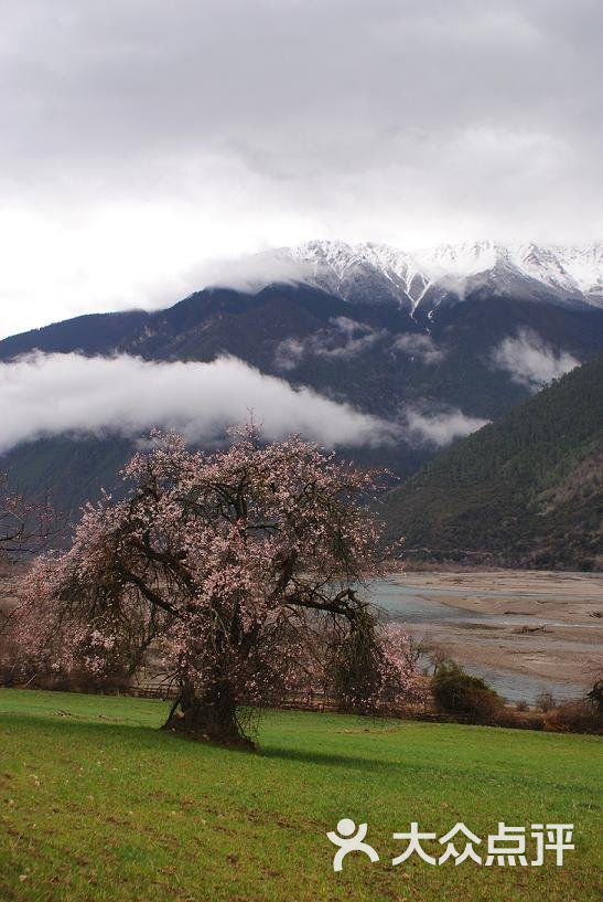 桃花沟风景区波密桃花沟图片 第3张