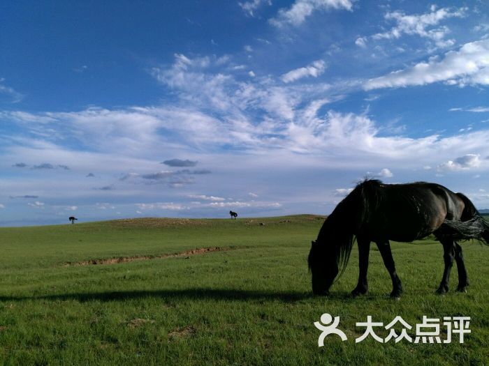 希拉穆仁草原-图片-达尔罕茂明安联合旗周边游-大众点评网