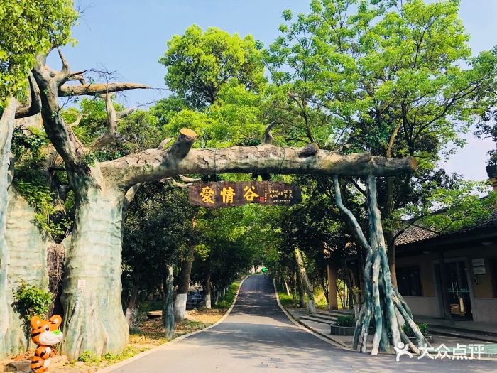 中南百草园景区停车场图片