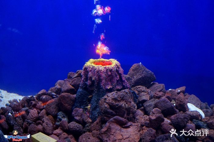 MOJO实景娱乐基地