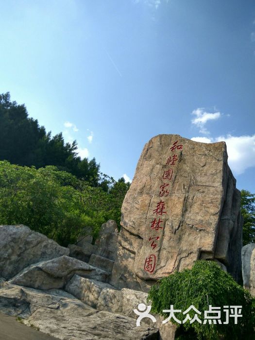 和睦国家森林公园-图片-新宾满族自治县景点/周边游-大众点评网