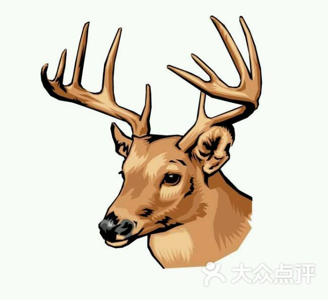 中华麋鹿园-图片-大丰区周边游