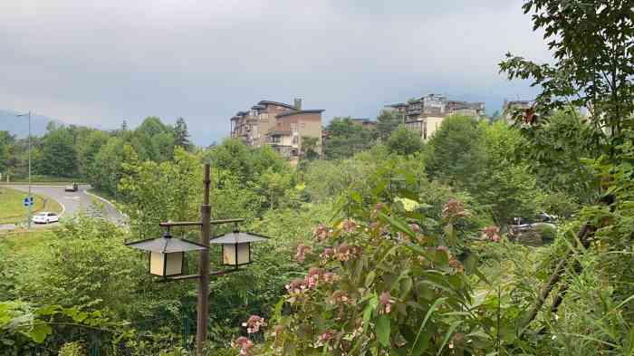 峨眉山七里坪森林栈道景区-"半山七里坪天然氧吧!畅快