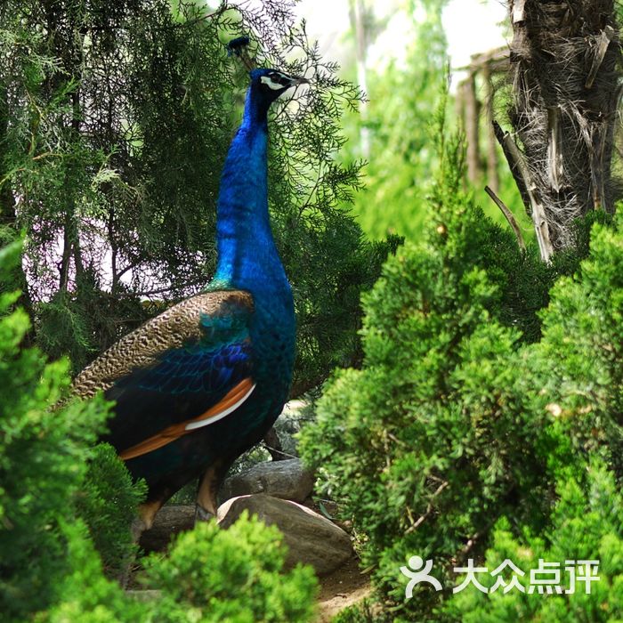 郑州动物园