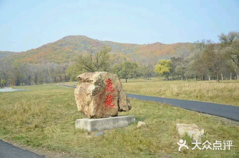 森工平山神鹿旅游区-图片-哈尔滨周边游-大众点评网