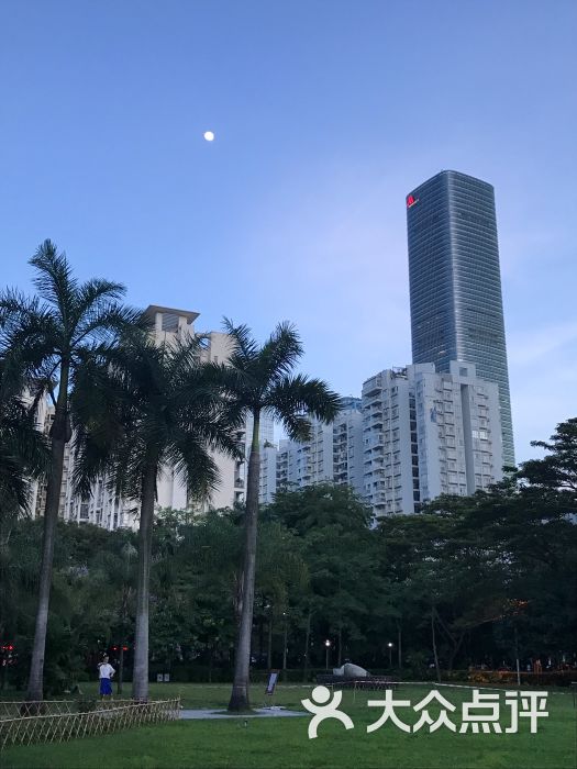 文心公园-图片-深圳周边游-大众点评网