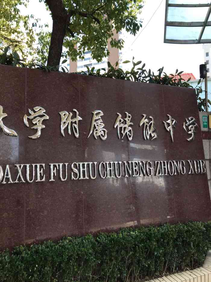 上海理工大学附属储能中学-"我的高中会考就在这个,很
