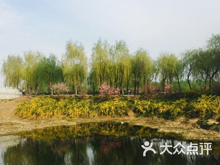上善公园-图片-滕州市周边游-大众点评网