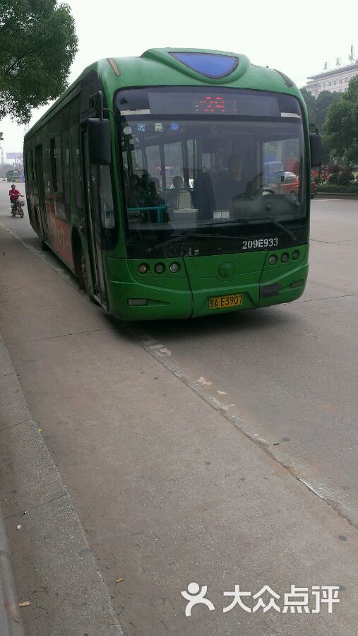 公交车(703路-209e933图片-武汉生活服务-大众点评网