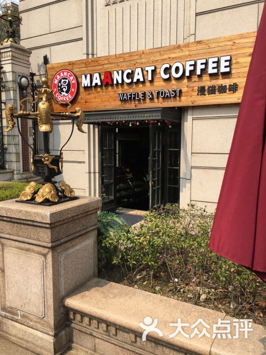 maancat coffee漫猫咖啡(牡丹江路店)图片 - 第192张